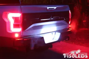 2017 - 2020 F150 RAPTOR TAG LED BULBS