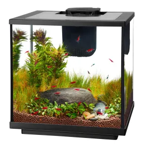 Aqueon LED Shrimp Aquarium Kit