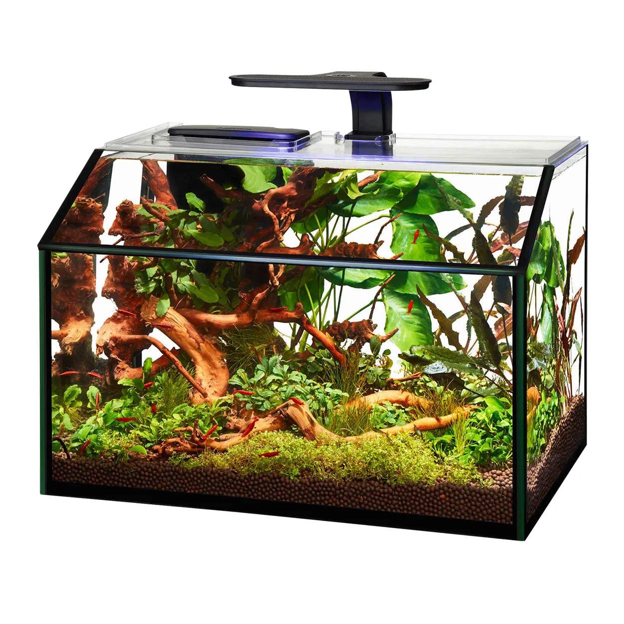 Aqueon LED Shrimp Aquarium Kit